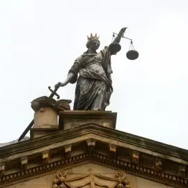 Expert Witness